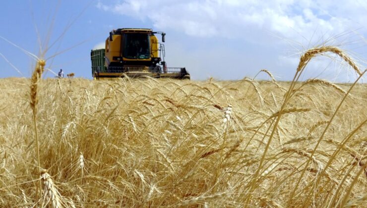 Çiftçilere 5.5 Milyar Liralık Tarımsal Destek Ödemesi Başlıyor: İşte Detaylar