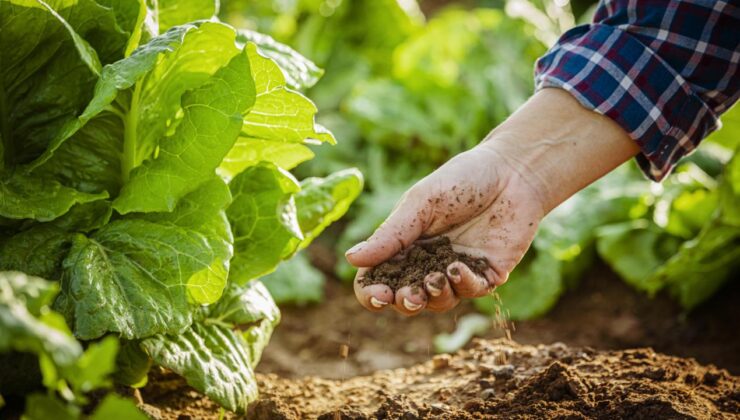FAO Gıda Fiyat Endeksi Yükselişte: Enerji ve Jeopolitik Gerginlikler Etkili